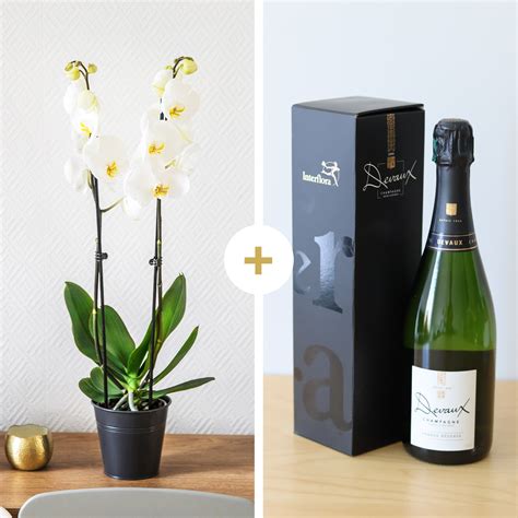interflora delivery|interflora delivery to france.
